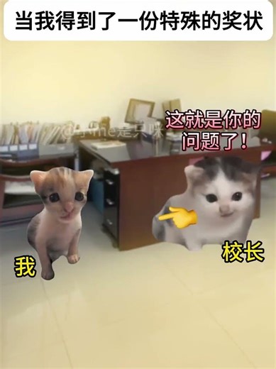 当我得到了一份特殊的奖状#猫meme#猫meme剧场#猫meme小剧场#内容过于真实#故事#猫猫meme小剧场#喵不可言#猫meme搞笑剧情