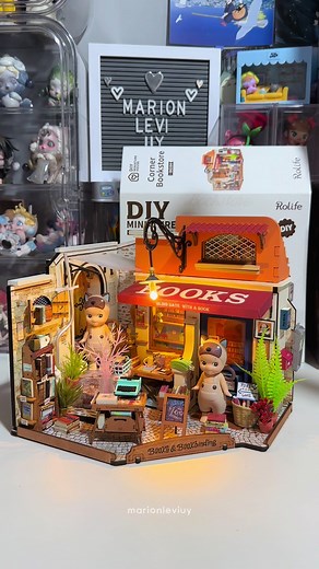 Construyendo una casa en miniatura Rolife de librería