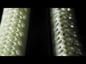 Fizik Antares Versus Evo 00 Adaptive | 3D Racing Saddle