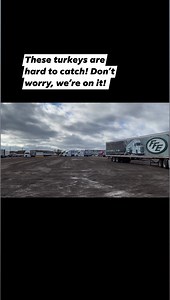 Happy Thanksgiving from all of us at FFE. No turkeys were harmed in this video. #trucking #truckers #truckdrivers #happythanksgiving | FFE Transportation Services, Inc.