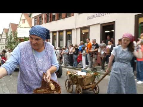 Besingheimer Winzerfest 2025 Festumzug Teil4