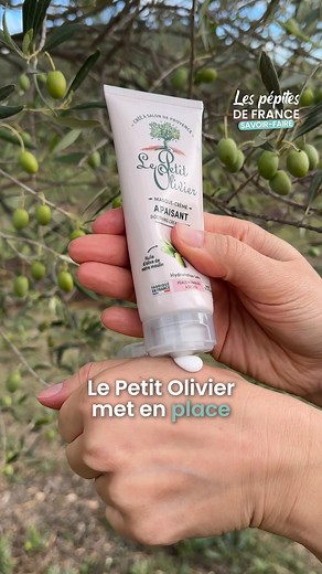 Collaboration Commerciale 🌿 Ici, dans le Gard, la beauté commence par un geste simple : cueillir une olive Au Moulin de Cante Perdrix, Le Petit Olivier cultive 1 800 oliviers sans irrigation ni produits chimiques, pour une huile pure et riche en actifs naturels ✨ Depuis plus de 25 ans, Le Petit Olivier incarne une beauté sincère, durable et 100 % française 🇫🇷 #lespepitesdefrance #lepetitolivier #gard #madeinfrance #nature #beaute #cosmetiquenaturelle #savoirfairefrancais | Les Pépites de Fran