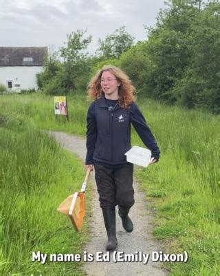 2.5K views · 40 reactions | Happy #DragonflyWeek! The fascinating life cycle of dragonflies involves three stages: egg, nymph and adult. When a dragonfly nymph is ready to become an adult, it climbs out of the water, sheds its exoskeleton and leaves behind what is known as an exuviae. Have you ever spotted one of these delicate casings? #DragonflySurvey #WWTCaerlaverock | WWT | Facebook