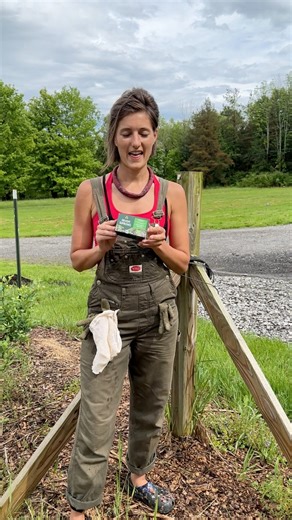 Best way to repel bugs this summer! #bugs #gardening This video was produced by Leon &LaCongo | Home Hacks & Easy Snacks