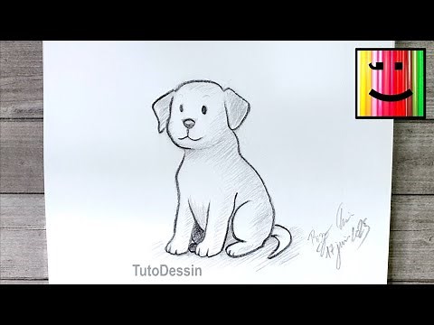Dessiner un chien réaliste avec un simple crayon