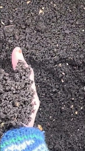 Vermicompost Benefits | Benefits Of Worm Farming | Soil School