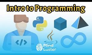 Mind Luster - Learn Intro to Programming A Beginner s Guide