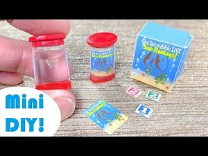 DIY Miniature Sea Monkey Aquarium!