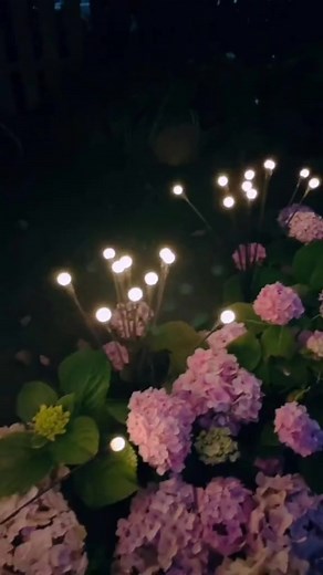 Our brand-new Firefly Lights shine up to 2X brighter than other solar garden lights, and are completely weatherproof. 💡🌧️ Just stake them into the ground and they will automatically charge during the day and turn on at night - perfect for your garden, veggie patch, outdoor area or patio!