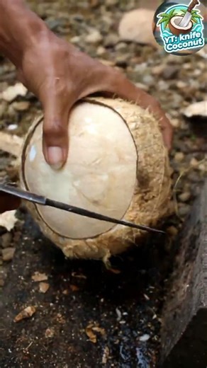 Peel the white and fresh coconut from the Shell