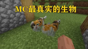 我的世界:史上最真实的MC生物模组！