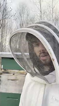 wrapping bees for winter #beekeeping, #winter, #outdoors