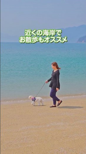 【愛媛県今治市】イルカがこんなに近くに!?触れて泊まれる体験スポット「ドルフィンファームしまなみ」