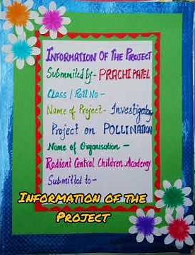 INVESTIGATORY PROJECT ON POLLINATION 🌱🌱 CLASS 12