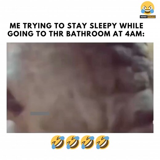 76K views · 384 reactions | #funnymemes#funnypost#sleepy | Memes Unlimited | Facebook