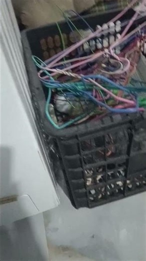 Samsung Washing Machine Song And The Other Ones