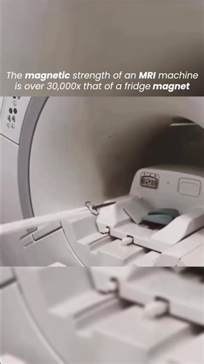 The magnetic strength of an MRI machine is over 30,000x that of a fridge magnet 🧲