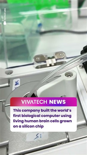 Meet the world’s first biological computer 🧠