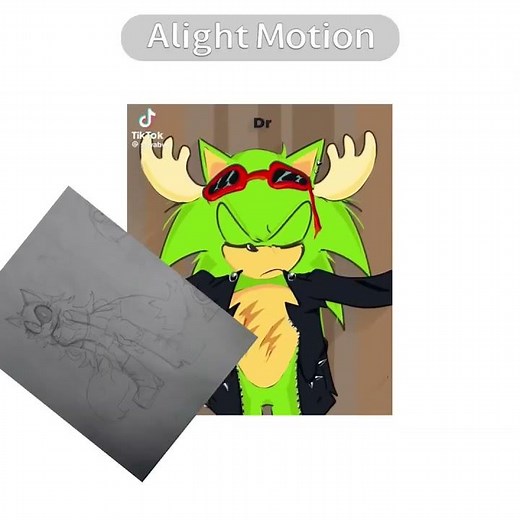 I love them hehe #steffithefox #sonicoc #scourgethehedgehog