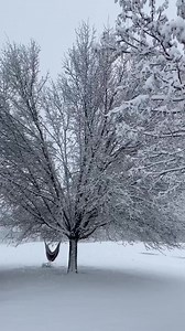 19K views · 783 reactions | The spring season is right around the...