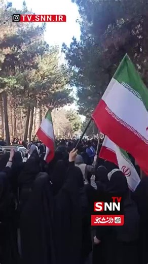 #creatorsearchinsights