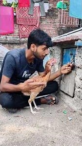 My Detective Hen! 😱 #hen #aseel