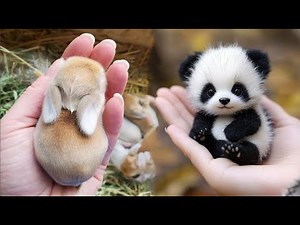 AWW Animals SOO Cute! Cute baby animals Videos Compilation cute moment of the animals #17 2025