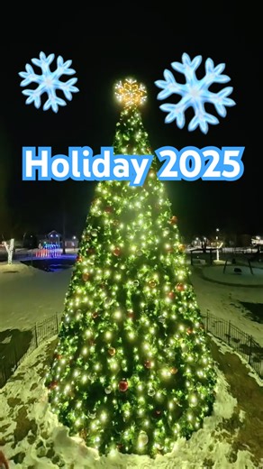 Plainfield Illinois 🎄-Village Green- Christmas Tree 2025