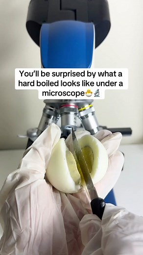 Microscope View on TikTok