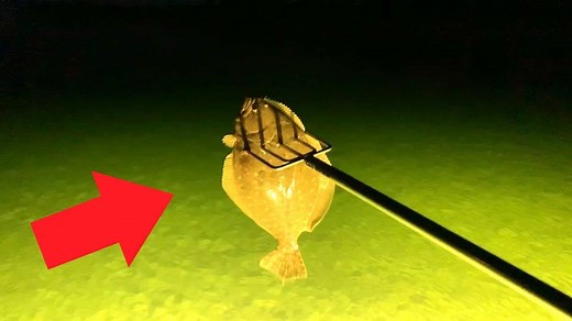 3.6M views · 20K reactions | Gigging flounder under lights at night in Pensacola Florida. Throwback to one of the best night of the year last year. | AnglerUp with Brant | Facebook