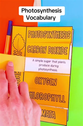This vocabulary tab book is a useful way for students to reference key words for photosynthesis 🍃☀️ Match the descriptions to the words, assemble, and insert into an interactive science notebook. #biology #photosynthesis #interactivenotebooks #scienceclass