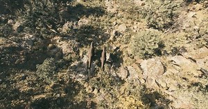 Tyrannosaurus Walks Through Jurassic Jungle Age Stock Footage Video (100% Royalty-free) 1106944715 | Shutterstock