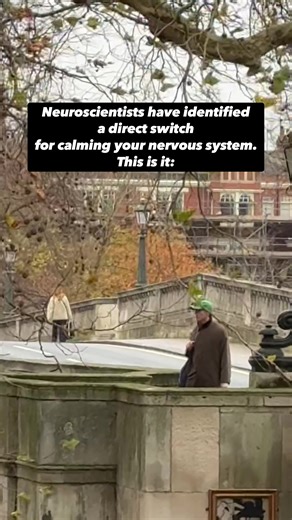 The Science Behind Breathing and Emotional Regulation