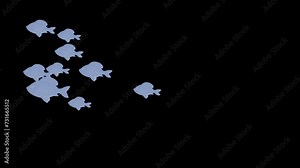 a school of fish swim. Video in extended 4k with a transparent background.. Looped video
