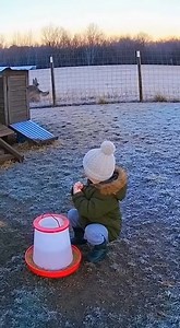 German shepher save baby | German shepherds