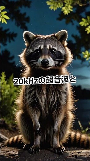 【超強力】3分で退散！ハクビシン撃退音
