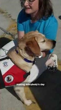 Therapy dog helps sailors on USS Gerald Ford