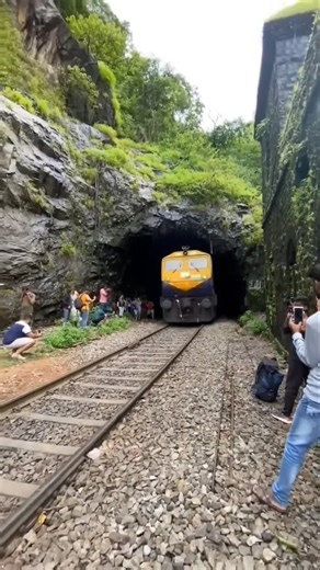 wait for end 🔚 | Train flying like a bird #train #viraltrain #fly #birds #trand #viralshort #shot