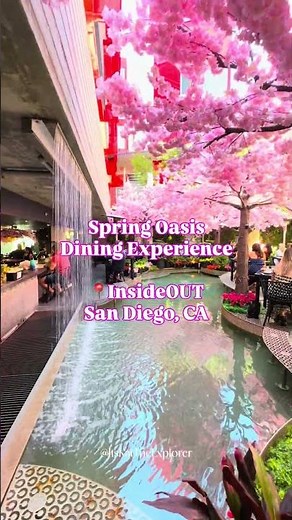 InsideOUT: Prettiest Restaurant in San Diego 🌸 worth a visit! The best part: Cherry Blossoms!