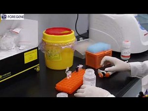 How to isolate RNA from animal tissues or cells:the operation guide.