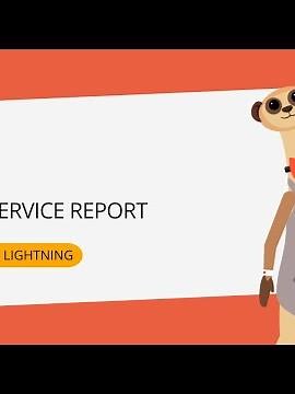 Field Service Lightning Mobile Service Report
