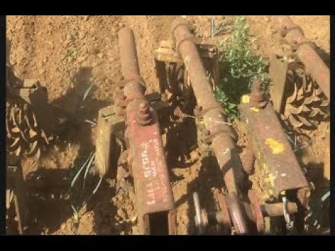 The Lilliston Rolling Cultivator