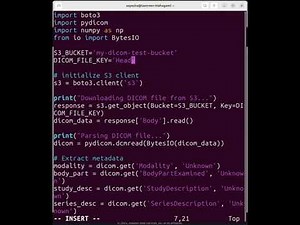 Analyze DICOM Medical Images Using Python & AWS S3 | AI in Healthcare