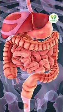 Natural Ways To Improve Digestion | how to improve digestive system