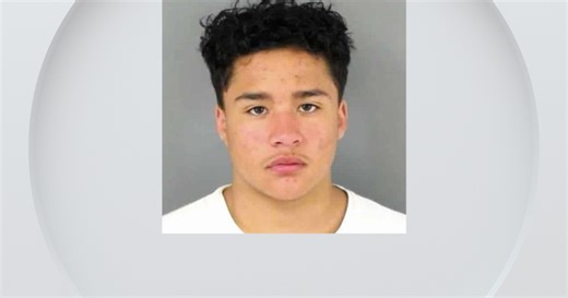 Teen charged as adult in deadly shooting at Denver Skate Park