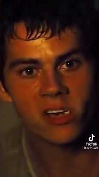 Y/n x Maze Runner Cast