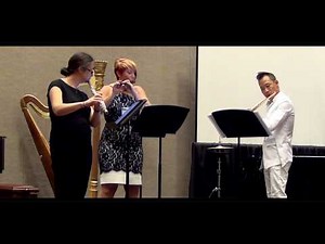 Herman Beeftink - Flute Trio Live "Birds" (3rd movement)