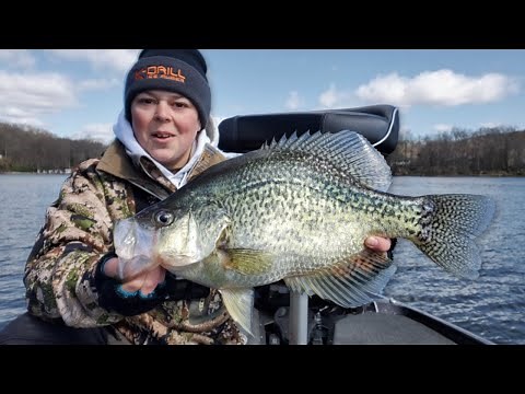 Catching 16 inch Crappies "Most Ever Documented"
