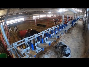 Calf Barn Update and Farming with Children