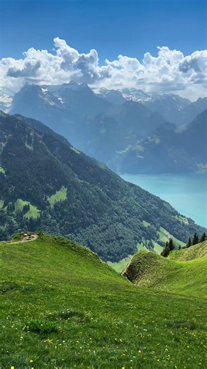 Switzerland’s Most Scenic Hike? 🇨🇭#stoos #switzerland #swissalps